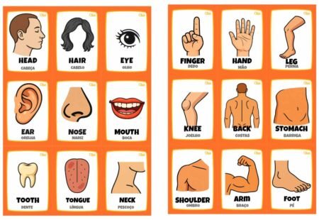 Magic Word Cards - PARTS OF THE HUMAN BODY