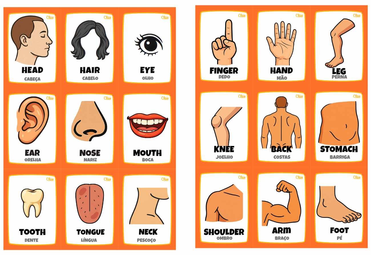 Magic Word Cards - PARTS OF THE HUMAN BODY